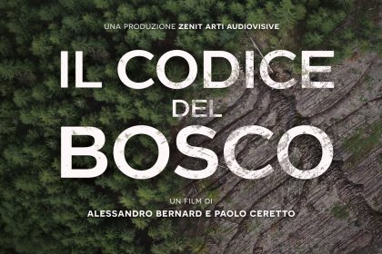 il-codice-del-bosco-poster-web