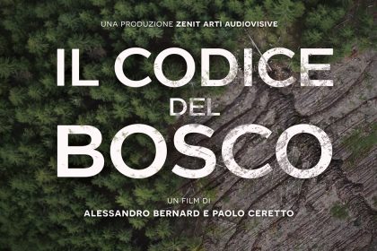 il-codice-del-bosco-poster-web